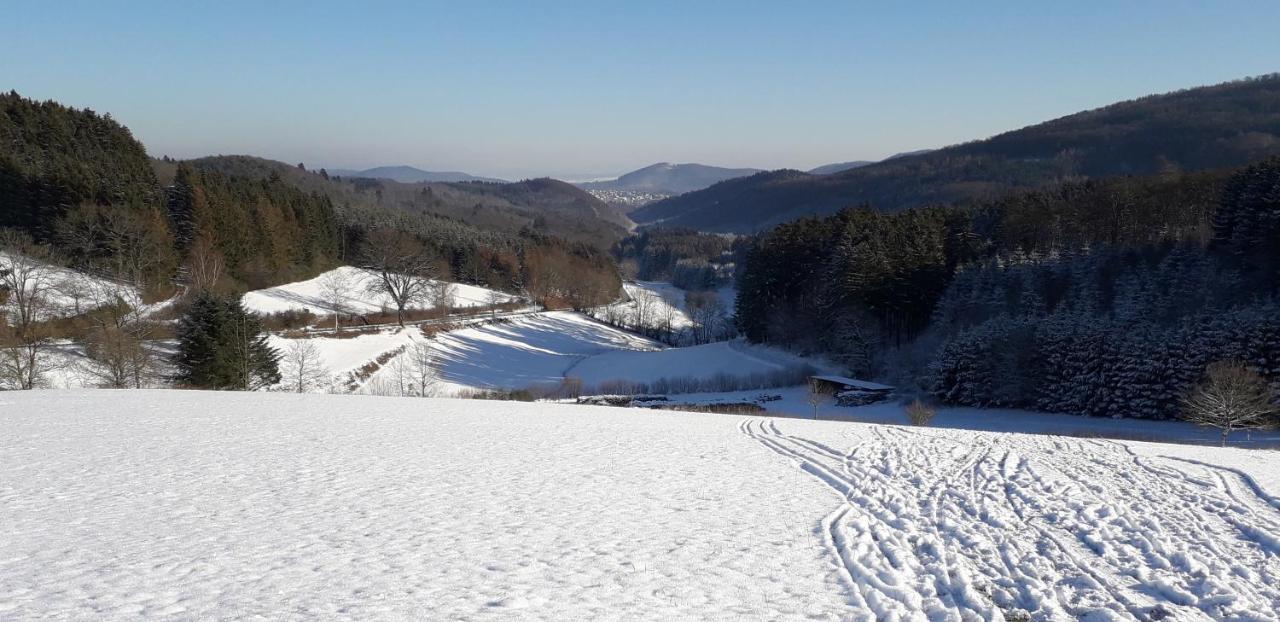 דירות באד ברלבורג Mia Und Michel Im Sauerland מראה חיצוני תמונה